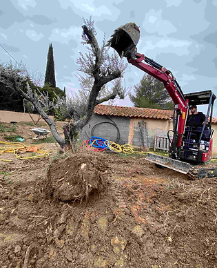 travaux de dessouchage aix en provence