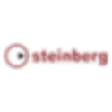 steinberg-sx-logo-png-transparent-removebg-preview