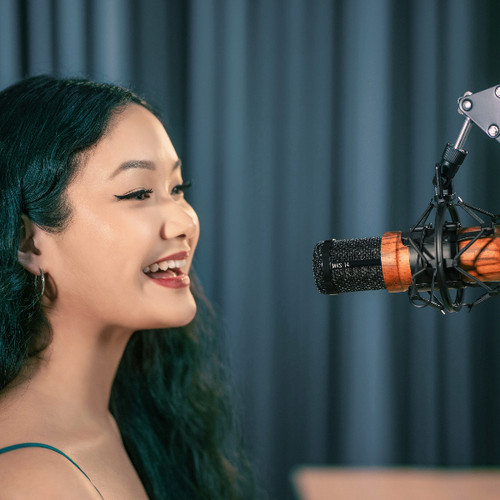 MKS-14 Special Edition Podcast Microphone | Seruniaudio