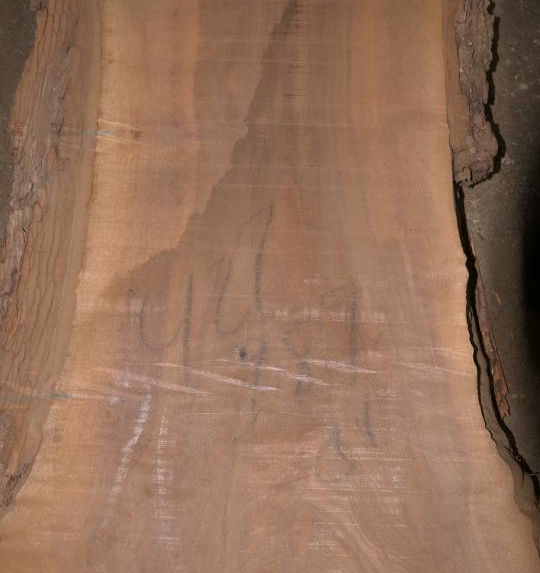 Photo #4 (e1fe0d08-3378-4698-b540-239f39d116bf)