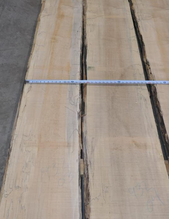 Photo #0 (eea89604-1013-45dc-a7a4-e2b65833e19d)