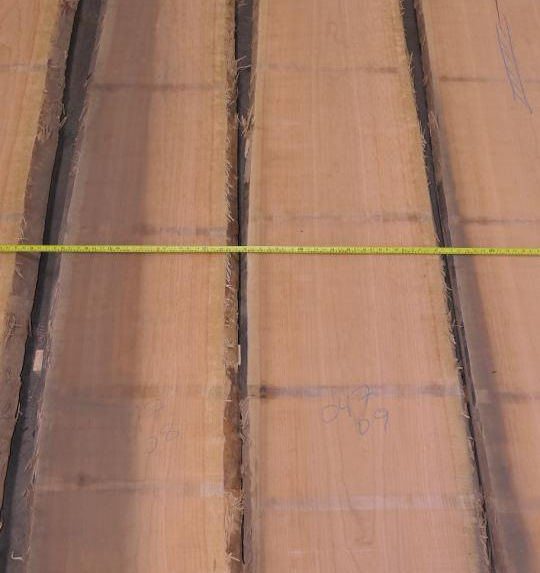 Photo #3 (f559b6f9-1a35-4461-8cde-9eb7b6241886)