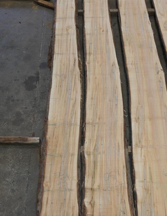 Photo #0 (f71bb372-c610-45c3-a717-51544070e910)