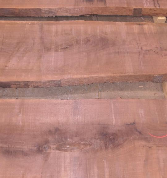 Photo #6 (63abc0f3-16d9-49dd-b0b2-6cafcac81b2d)