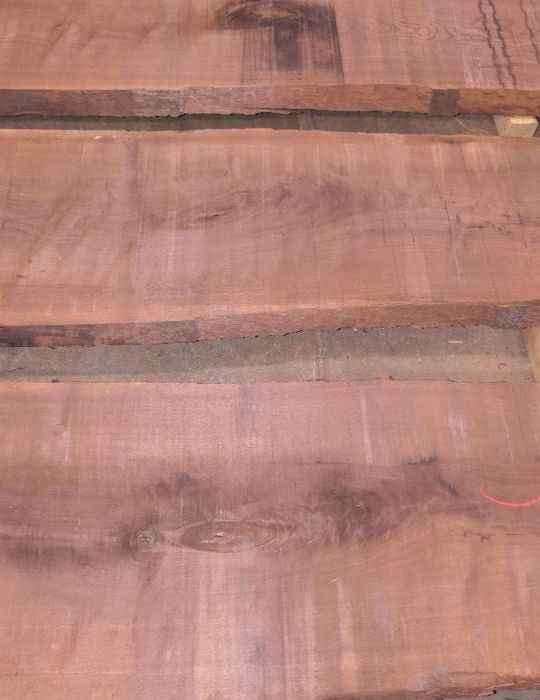 Photo #6 (63abc0f3-16d9-49dd-b0b2-6cafcac81b2d)