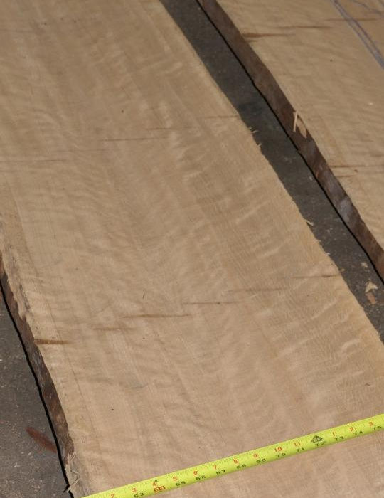 Photo #3 (5b918d35-6043-4304-a835-a222727de557)