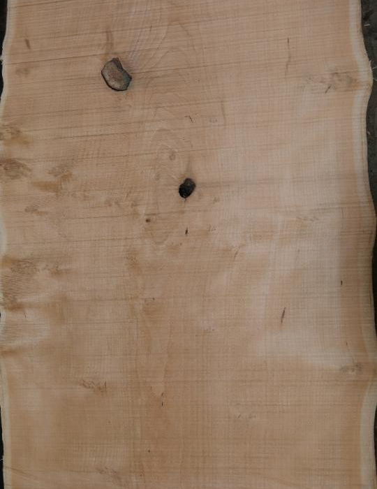 Photo #5 (ef1acf79-5b3f-45bc-a83d-b267600ffec9)