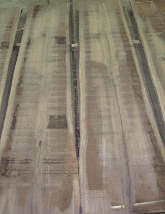 Photo #1 (aac8e222-2842-4dc4-a676-22e638c6893e)