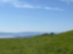 The beautiful horizon as seen from Mission Peak. Beyond the hills, the Pacific. A great and glorious unknown if ever there was one.