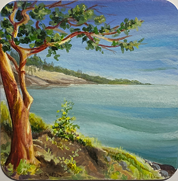 Wild Maestro, coaster by Liz Watson