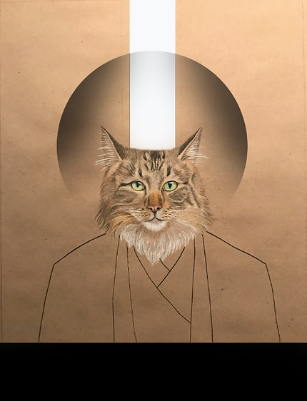 Cat illustration by Cyrille Saura  mixed media