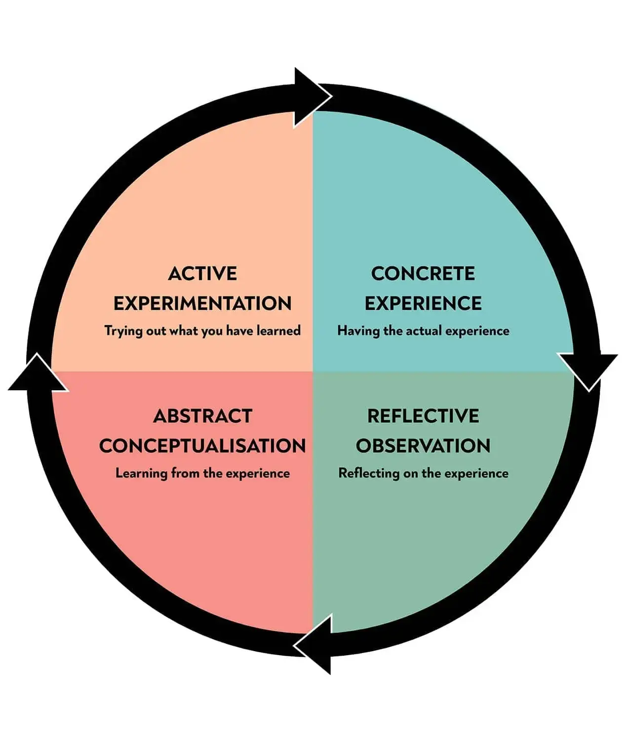 ciclo de aprendizagem de Kol