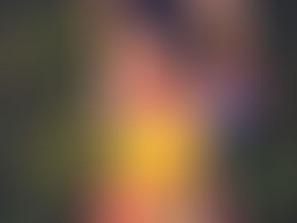 Dandara Arruda, a nossa representante no Miss SP