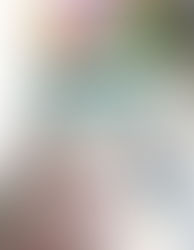 Suspeito guarda mais de 300 porções de drogas na ração dos passarinhos