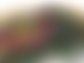 Criadores do Parque Municipal fazem nova visita à cidade