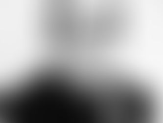 O Capitão Joaquim Floriano de Toledo!