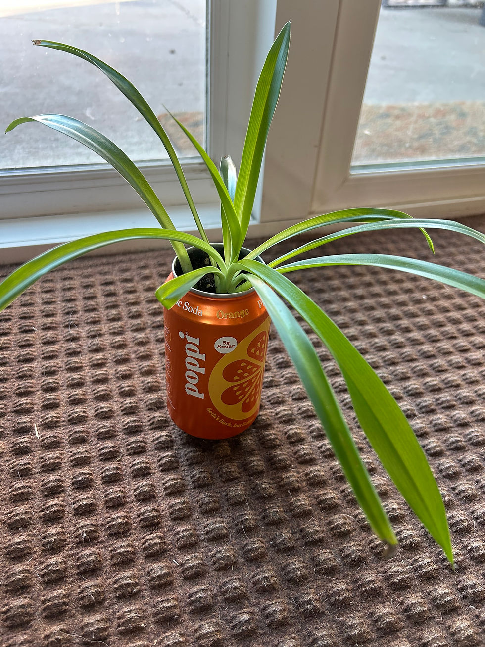 Thumbnail: Plant-in-a-can