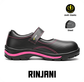 2) RINJANI.png