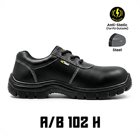 2) A B 102 H.png