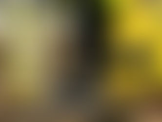 Safety Meets Style: Tetap Aman, Tetap Keren dengan Track Raktayoo