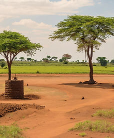 a landscape in malawi with trees, a bore