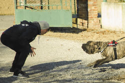 32032632090_e2a203996d_o