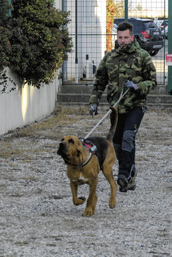 32410026655_d44f1ce23f_o