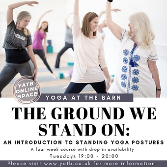 The Ground We Stand On (1).png