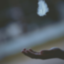 Untitled design (7).png