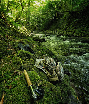 fishing and fly fishing trip
