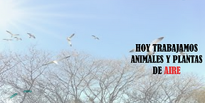 Captura de pantalla 2020-06-04 a las 8.1