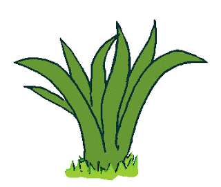 ShockedThisAmericanbobtail-size_restrict