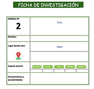 Captura de pantalla 2020-05-13 a las 13.