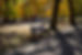 IMG_5928.JPEG