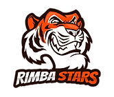 gaming-logo-maker-featuring-an-aggressive-tiger-illustration-4400d-el1 (1).png