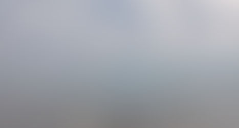 Crappy birds with Crappy wings