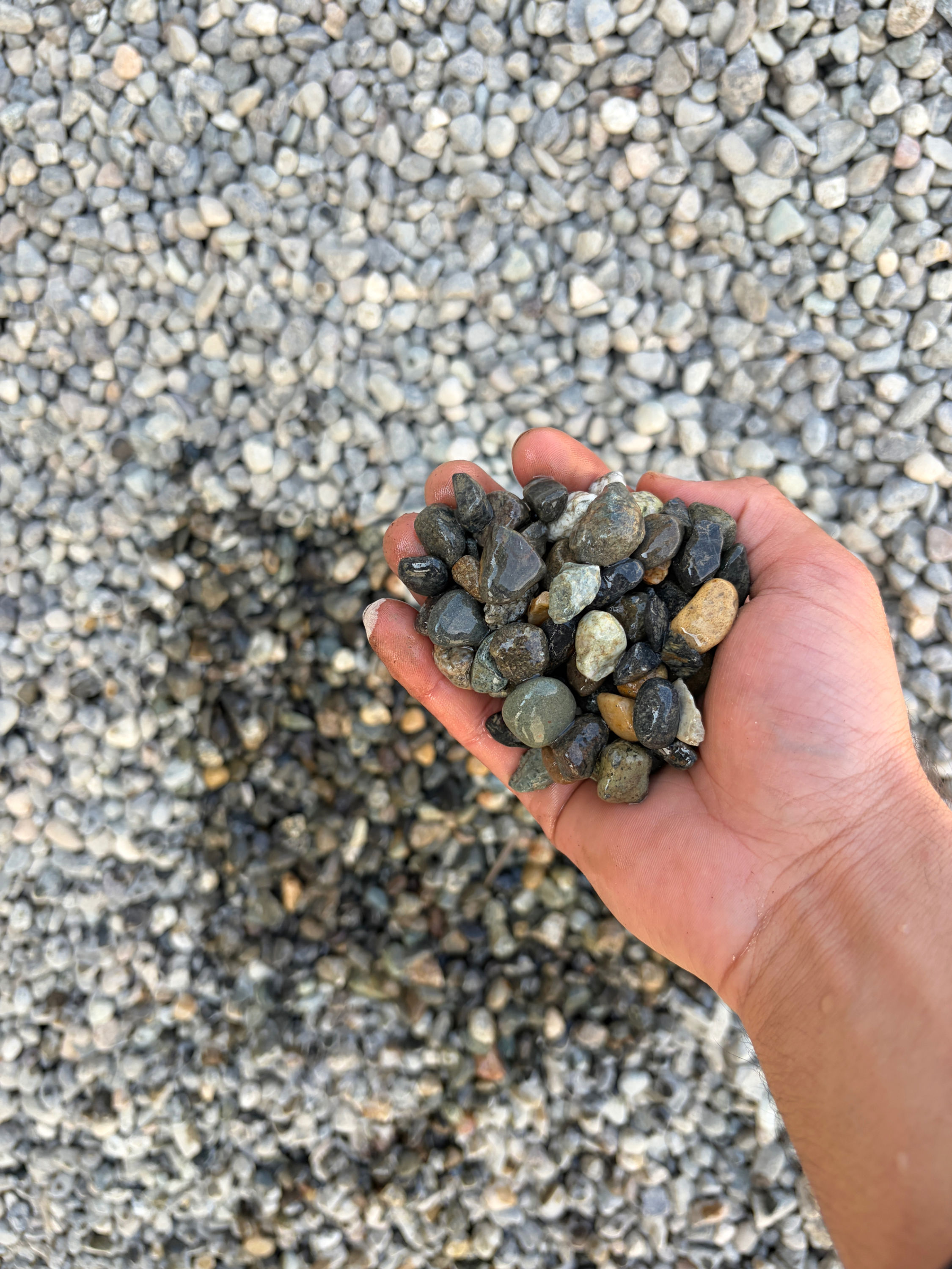 Round Pea Gravel (10mm)