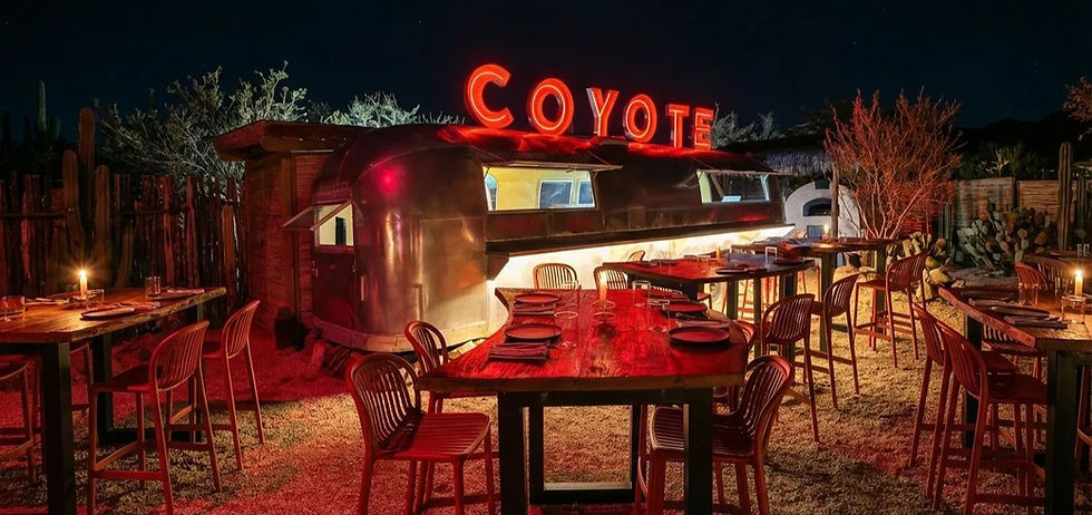 Coyote Main_edited.jpg