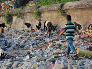 Living in the plastic age
