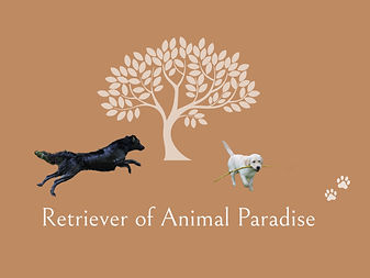 Hof Paradise Logo_edited_edited.jpg