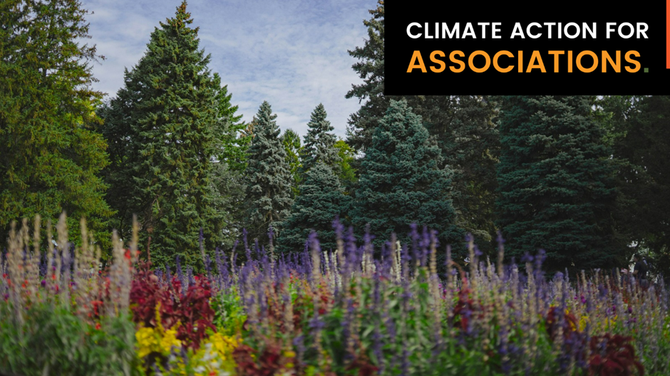 Biodiversity and forest
