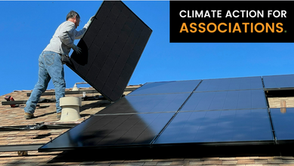 Solar Becomes the Fastest-Growing Energy Source.