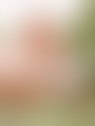 The Power of Passive Housing in the UK’s Social Housing Boom