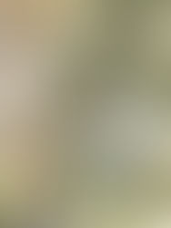 Why “Density Kills Community” Is the Biggest Myth in UK Housing 