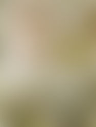 Survive Uni, Waste-Free