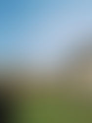 Height meets Humanity: Dawson’s Heights