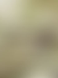 Less Carbon, More Accountability