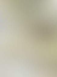 Grown to Build: Can You Build a Building Out of Plants? 