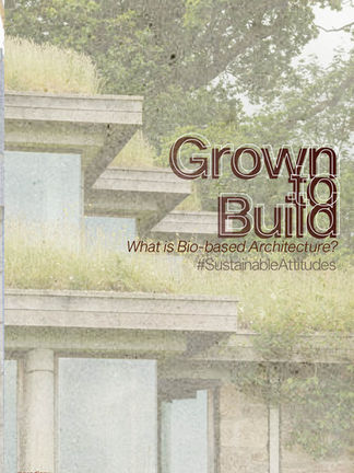 Grown to Build: Can You Build a Building Out of Plants? 