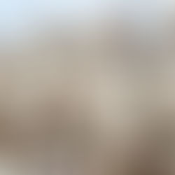 Organic Cotton vs. Conventional Cotton